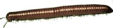 Millipede