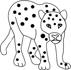 leopard3